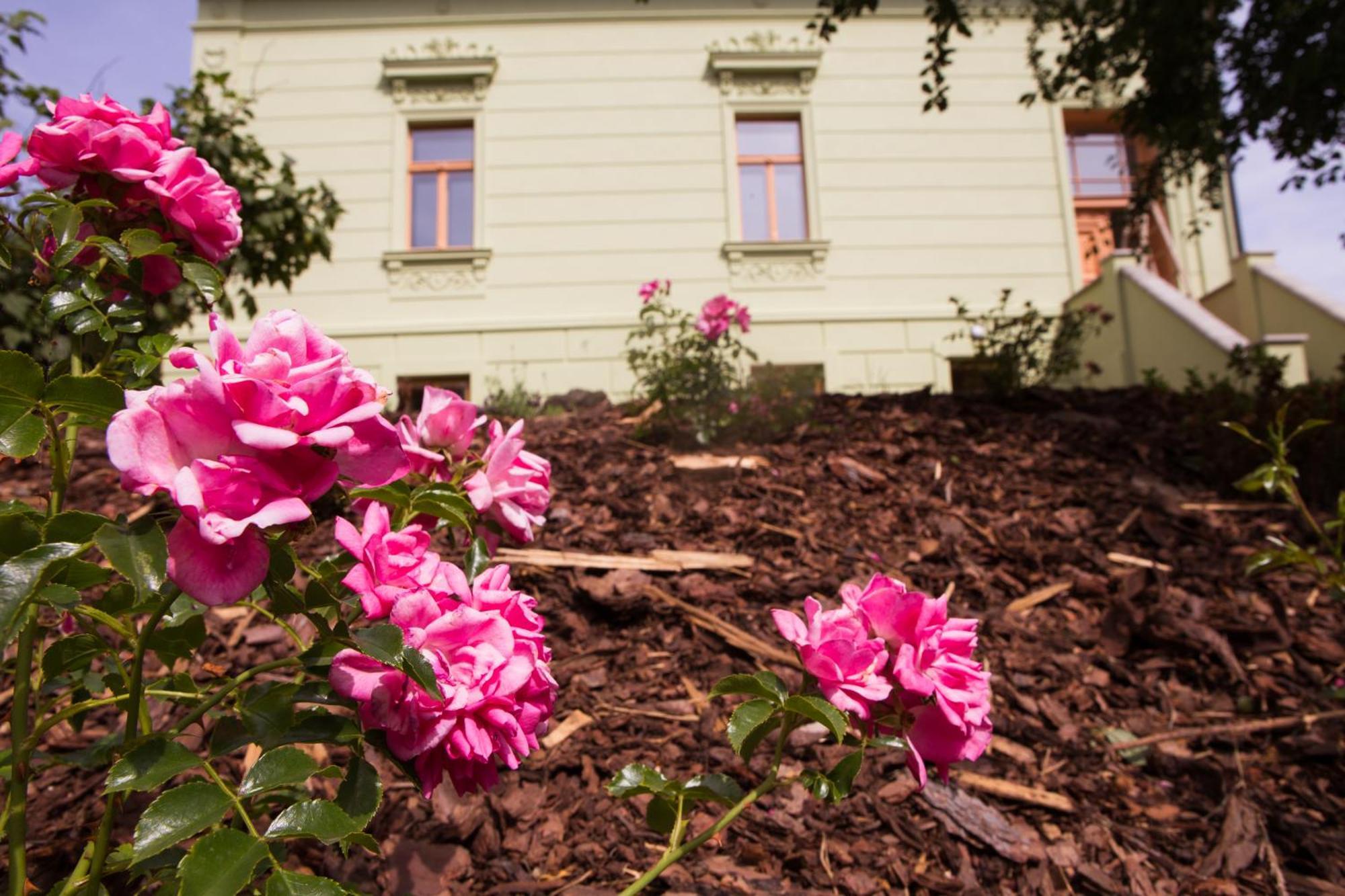 Ubytovani U Vladare Velhartice Esterno foto