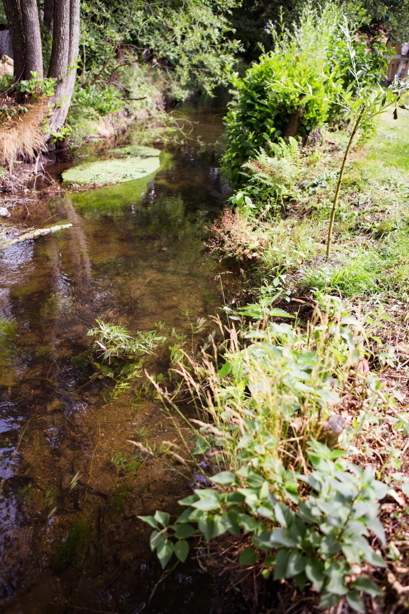 Ubytovani U Vladare Velhartice Esterno foto